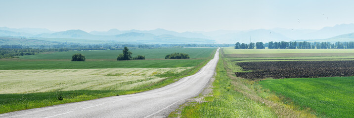 Countryside view with road, panorama of spring meadows and fields, spring greenery © Valerii