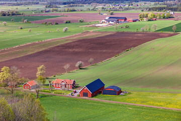 Naklejka premium Rural landscape with farms and green field a sunny day at spring