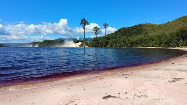 Walking towards the beach and the moriches submerged in the amber-colored Canaima lagoon, Playa de los Enamorados, Canaima, Venezuela
