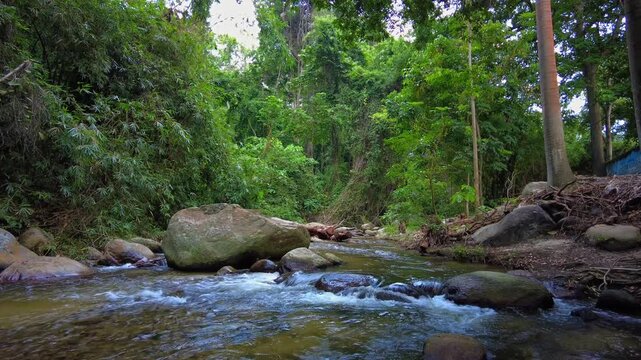 Panoramic view of the Choroni River surrounded by greenery in Aragua State, Venezuela