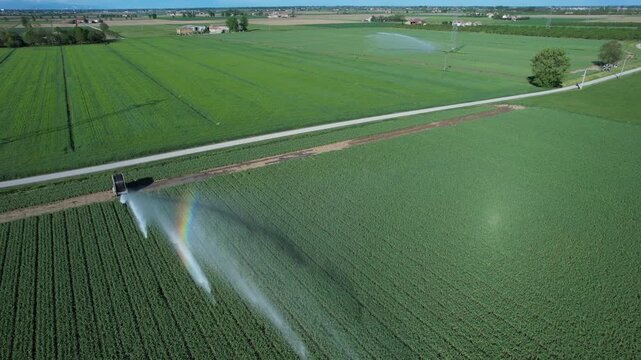 Center pivot irrigation spraying water across soybean crop field in the Po Valley agricultural plain, Pianura Padana, Northern Italy, irrigation mist creating rainbow effect, top down aerial drone vie