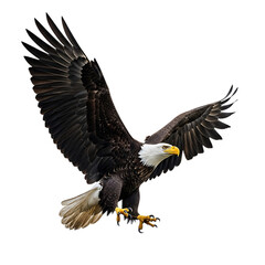 Obraz premium Bald eagle in flight isolated on transparent background