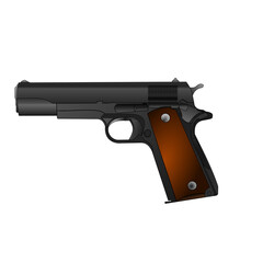 gun isolated on white