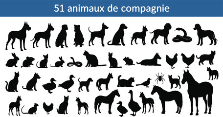 Diverse silhouettes of fifty-one different companion animals