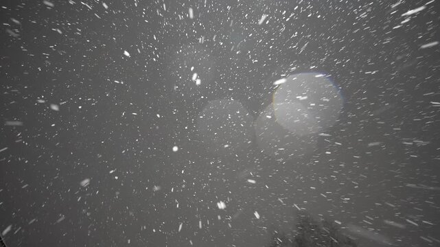 Real falling snow on a black background. Slow motion. 4K footage