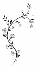 Elegant floral vine illustration with delicate blossoms and leaves, perfect for decorative purposes and design elements