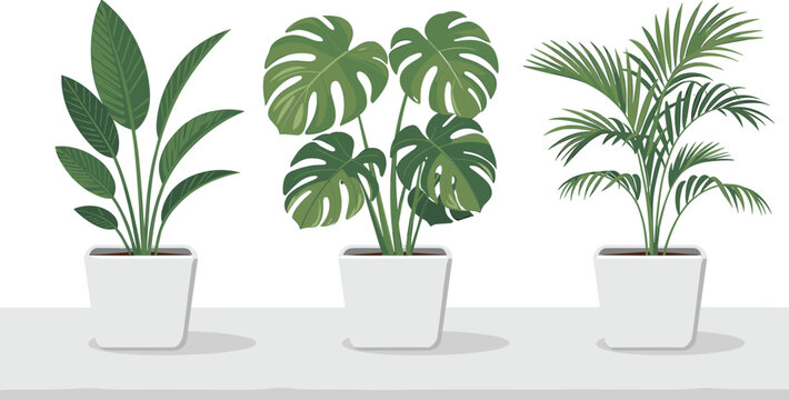 Indoor tropical houseplants in pots flat vector illustration set with monstera palm and decorative foliage plants isolated on white background