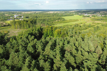 Naklejka premium Top down view of afforestation and lush vegetation