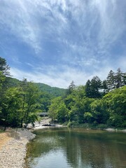 Obraz premium lake in the forest