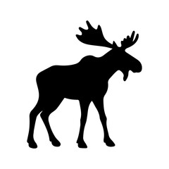 Fototapeta premium Moose Antlers Silhouette for Nature Art.