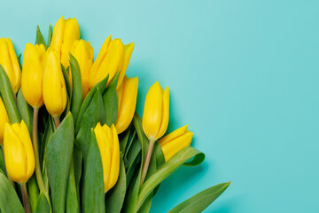 Naklejka premium Yellow tulips on blue background