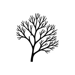 Obraz premium A black silhouette of a leafless tree.