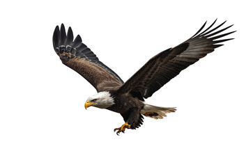 Obraz premium Bald eagle flying with wings spread, symbolizing freedom, power, and national pride, transparent background