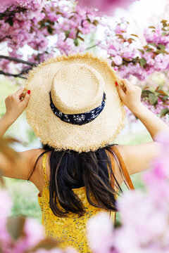 A high-angle, rear-view photograph of a woman wearing a wide-brimmed straw hat and a yellow floral dress, looking into a vibrant canopy of pink cherry blossoms. The woman&rsquo;s hands are gracefully holdin