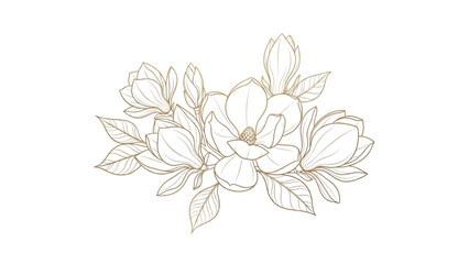 A delicate line drawing of magnolia flowers and leaves on a white background