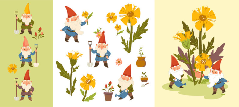 Whimsical set of cute garden gnomes with red pointed hats. Vector elf, dwarf and flowers gardening elements Card design with gnomes and spring flowers, tussilago farfara