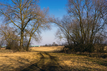 Przedwiośnie w Narwiańskim Parku Narodowym, Podlasie, Polska © podlaski49