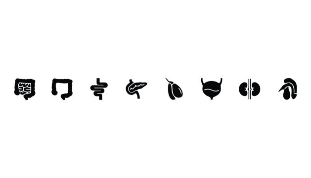 Human body solid icons set for medical and healthcare design
