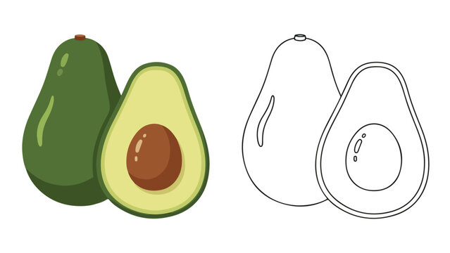 Illustration of a green avocado and a halved avocado with a brown pit alongside a line drawing of two avocados on a white background.