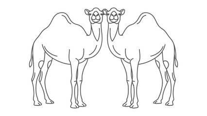 Camels Reflection: A symmetrical depiction of two majestic camels facing each other, rendered in clean, crisp lines, perfect for illustrating themes of travel and the desert. © hafs121