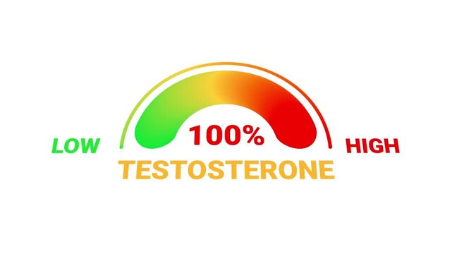 Testosterone level gauge animation video
