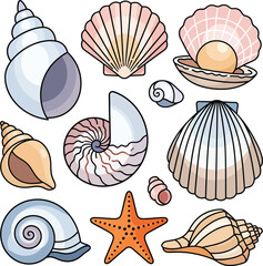 Collection of Diverse Seashells and Starfish Illustration. © Alisya Design