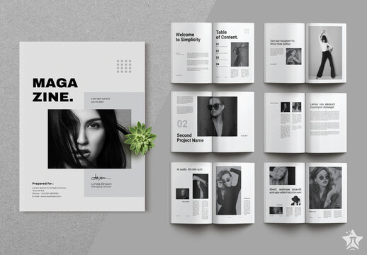 Magazine