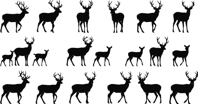 Black deer silhouette vector set, standing and walking buck with antlers, reindeer and fawn collection, forest wildlife isolated on white,