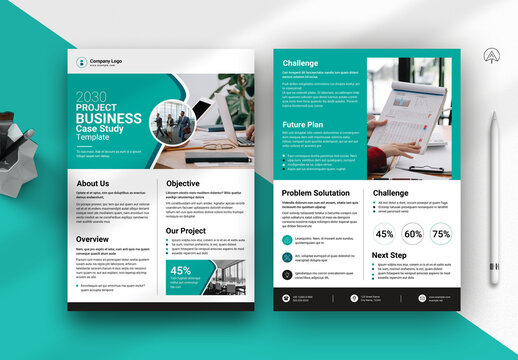 2030 Project Business Case Study Template