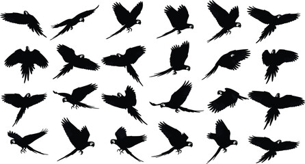 Parrot silhouette collection, flying bird outline, wing spread figure design, tropical animal icon, feather illustration motif, avian nature art © Anonto