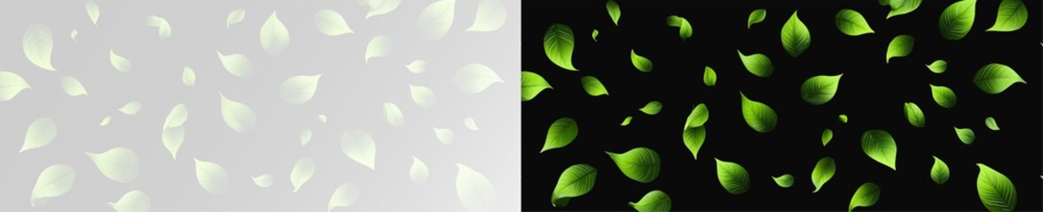 flying green leaves with dynamic motion and scattered foliage isolated on white and black background, ideal for fresh organic branding, herbal product advertising or nature-inspired graphic design