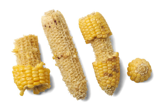 top view photograph of discarded corn cobs and kernels on a plain transparent background, showcasing the texture and detail of the leftover food.