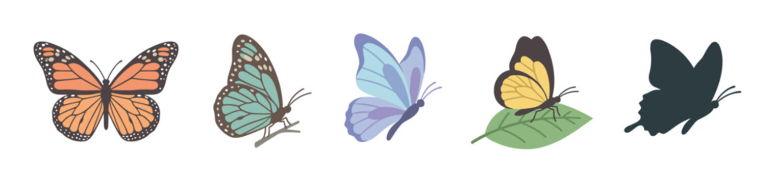 Set of five colorful butterfly illustrations in a flat vector style, showcasing various species in different poses like flying, resting on a leaf, and a simple dark silhouette