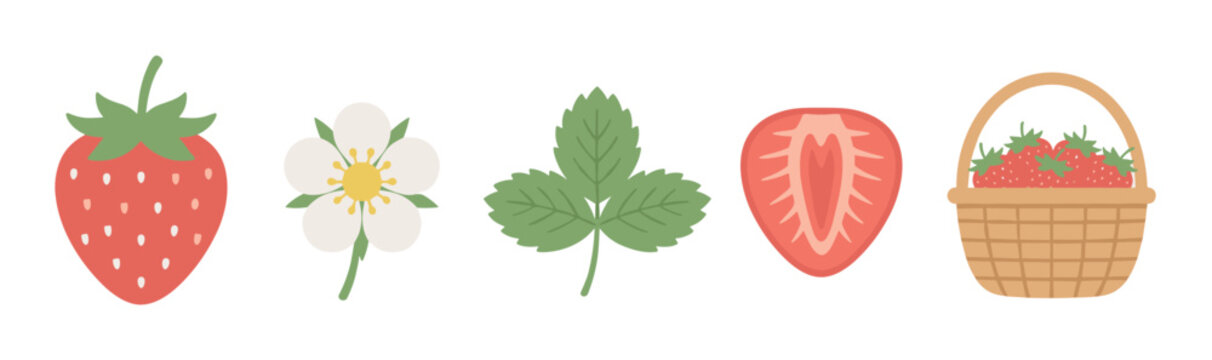 Set of strawberry illustrations showing a whole berry, flower, leaf, half slice, and a wicker basket full of fresh ripe fruit, a cute and simple flat vector graphic collection