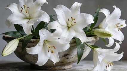 White lilies arranged in a ceramic bowl with green leaves  