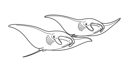 Two Manta Rays Illustration: A simple line drawing depicts two manta rays gracefully swimming together in a dynamic pose, showcasing their distinctive wing-like fins and wide mouths. © hafs121