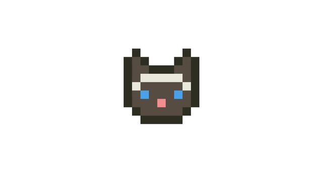 8-bit pixel art Siamese cat face icon. looped animation 4k 30fps