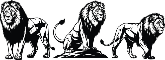 Black lion illustration vector set, majestic male lion mascot collection, wild predator animal graphics isolated on white background for logo, © Rowshan
