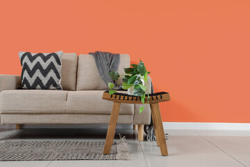 Comfortable sofa, table and houseplant in interior of living room, closeup
