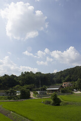 Obraz premium Countryside