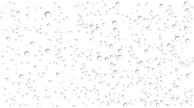 Realistic Water Droplets, Transparent Rain Overlay for Dynamic Backgrounds Vector
