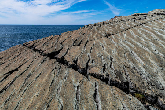 Rock cliff with Precambrian fossils at Unesco Mistaken Point Newfoundland