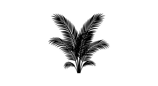Silhouette of a Palmetto Palm Tree Against White Background