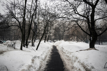 Obraz premium Snow melts after heavy snowfall