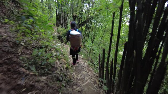 Asia Vietnam , Sapa ,  Hmong, Tay, and Yao. Hmong Ethnicity. Hmong Tribe, ethnic minorities of Sapa . Local ethnic lady woman walking in the woods in traditional clothes