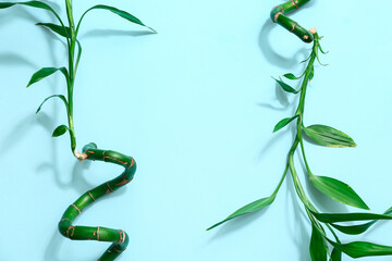 Green bamboo stems on blue background