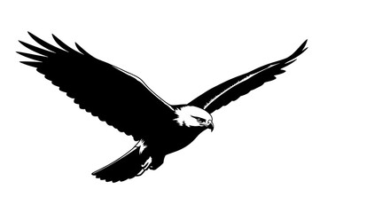 Obraz premium eagle in flight