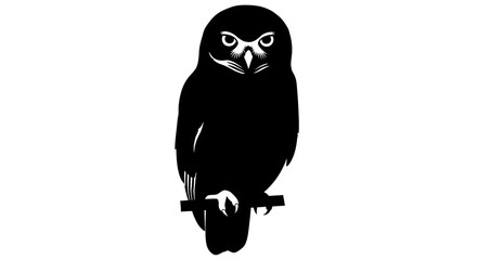 Obraz premium owl on a branch