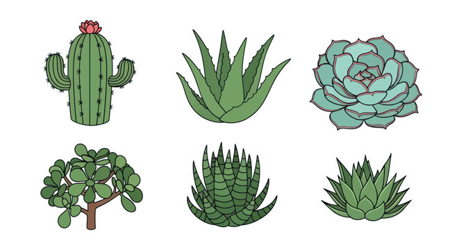potted house plants House Plant main image 0