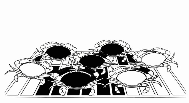 Six crabs are displayed on a wire grill with black fill